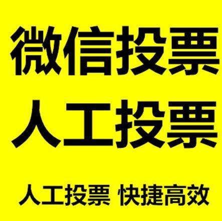 九龙微信拉票的常见形式有哪些？